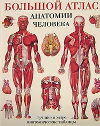 Большой атлас анатомии человека, Махиянова Е.Б.