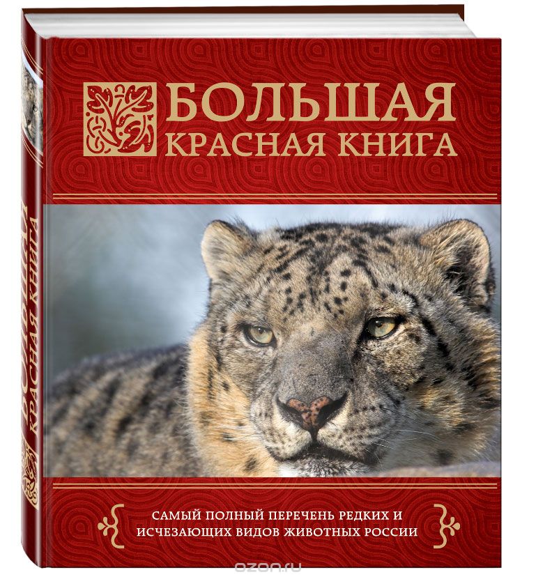 Большая Красная книга, Оксана Скалдина, Евгений Слиж