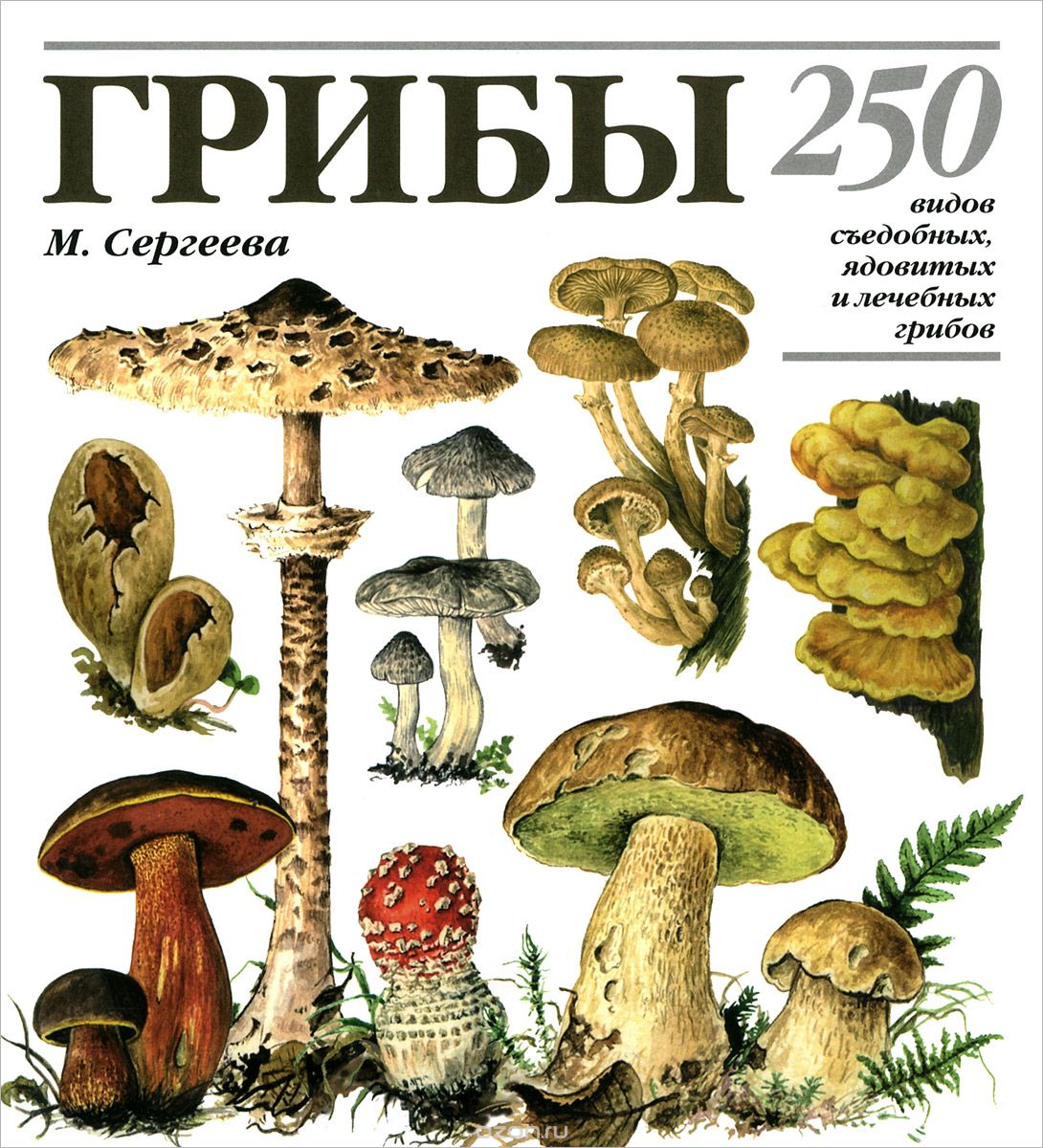 Грибы. 250 видов съедобных, ядовитых и лечебных грибов, Лидия Гарибова, Мария Сергеева, Наталья Замятина