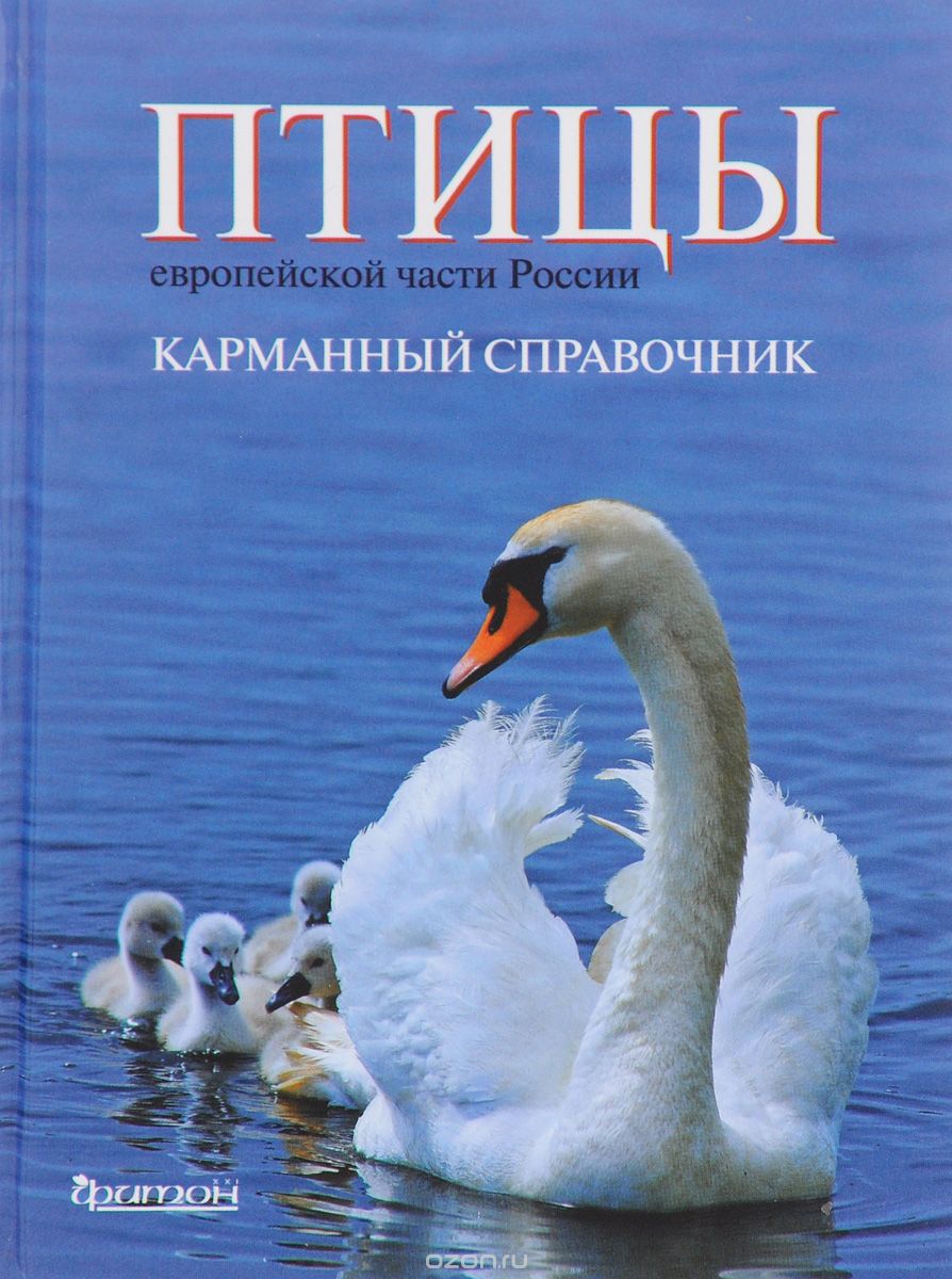 Птицы европейской части России. Карманный справочник, Гроот Куркамп Хирт, Виталий Конторщиков, Сергей Косенко, Сергей Коузов, Владимир Морозов, Ярослав Редькин, Михаил Калякин