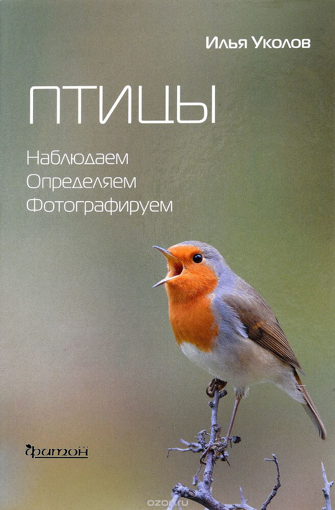 Птицы. Наблюдаем, определяем, фотографируем, Илья Уколов