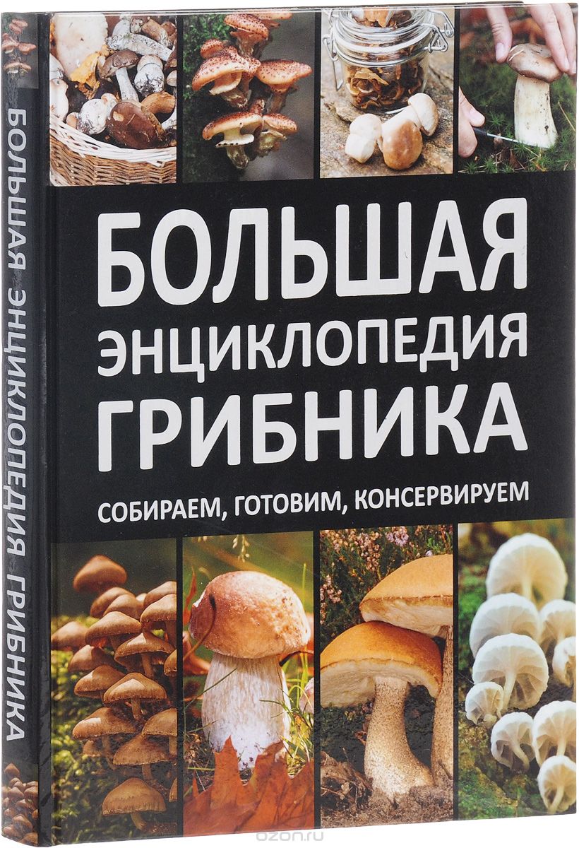 Большая энциклопедия грибника. Собираем, готовим, консервируем., Андрей Поленов