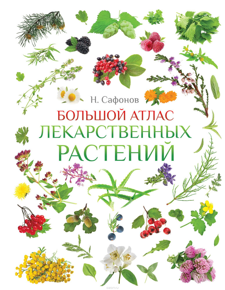 Большой атлас лекарственных растений, Н. Сафонов