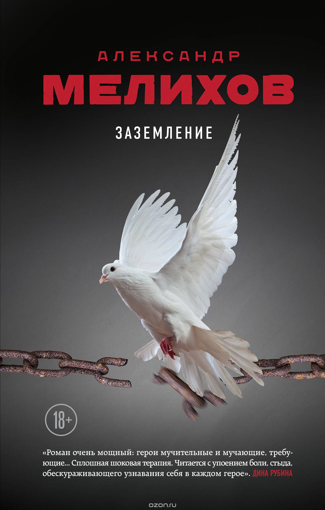 Заземление, Александр Мелихов