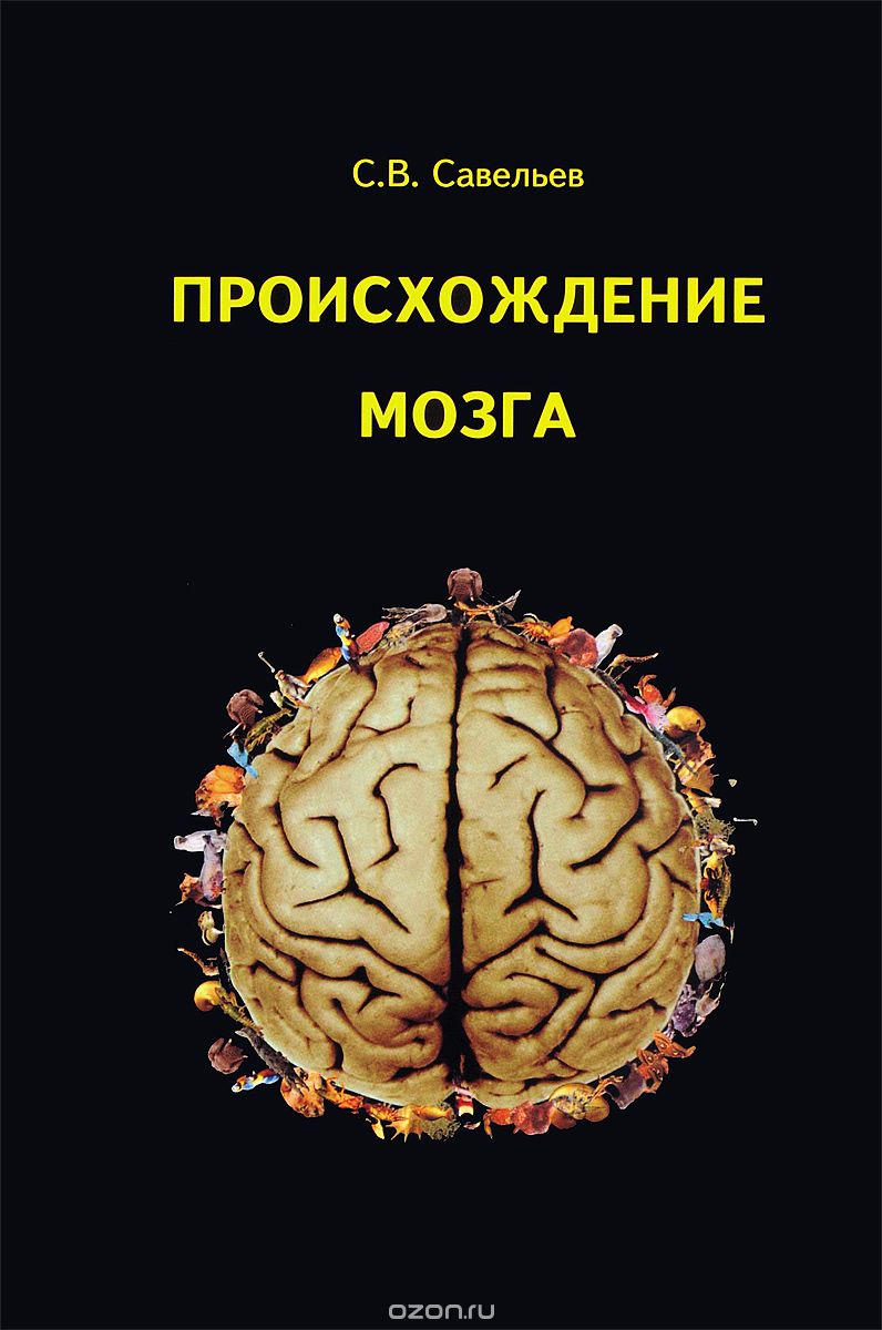 Происхождение мозга, Сергей Савельев