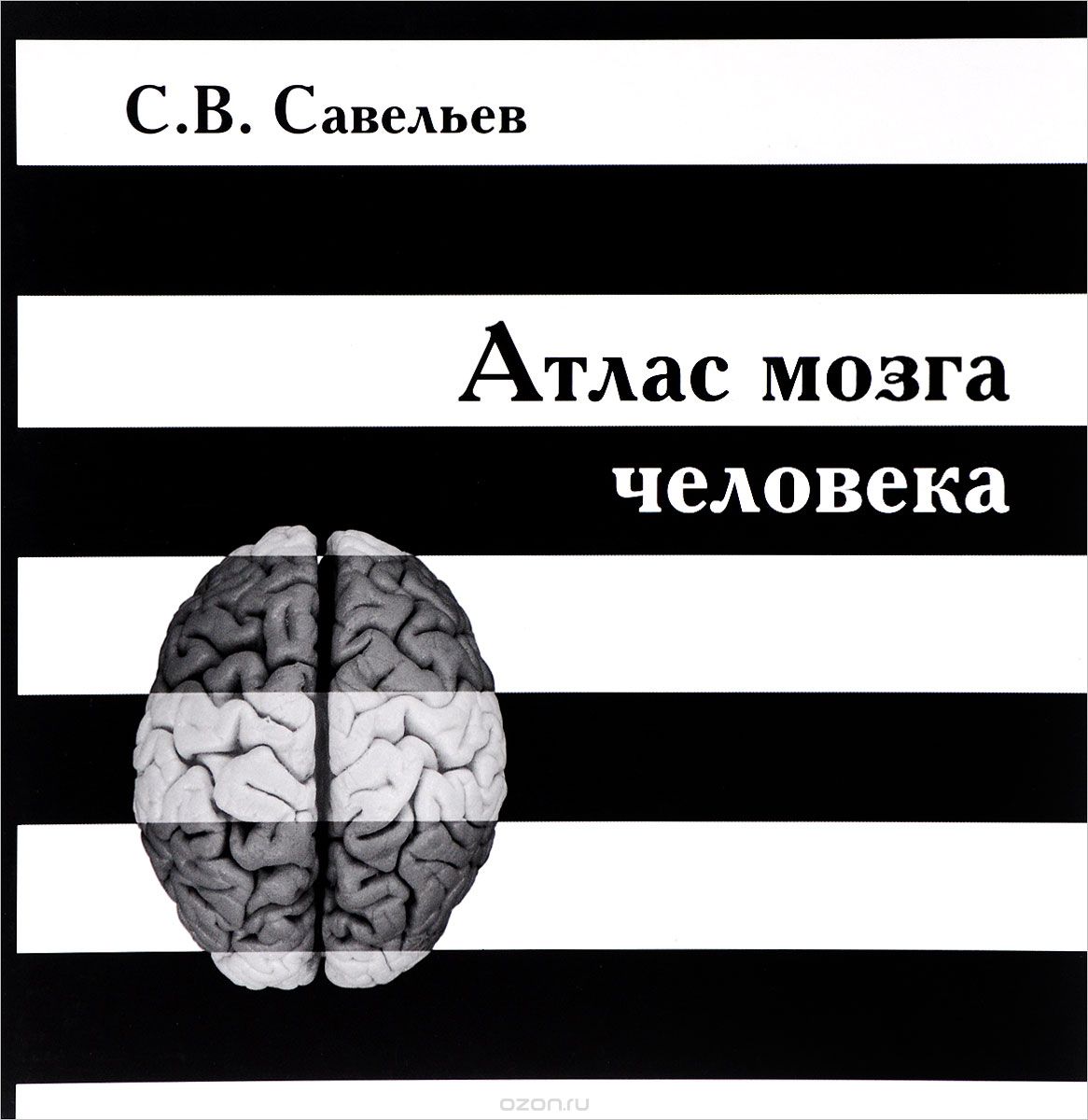 Атлас мозга человека, Сергей Савельев