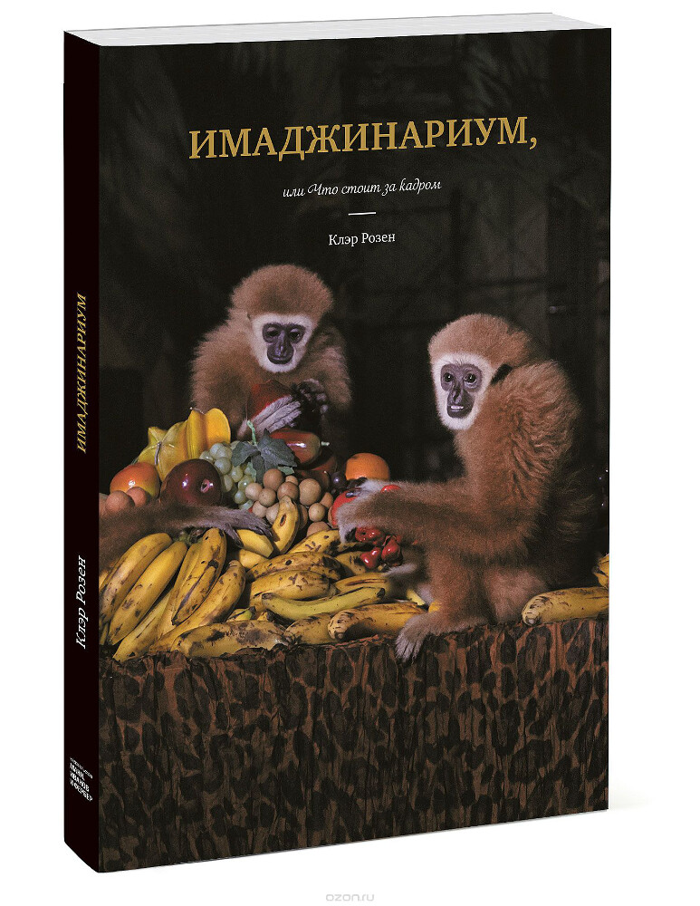 Имаджинариум, или Что стоит за кадром, Клэр Розен