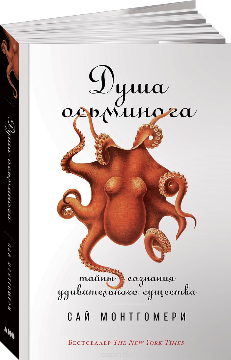 Душа осьминога. Тайны сознания удивительного существа, Сай Монтгомери